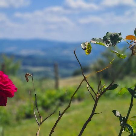 Appartamento Il Nido Volterra Ngoại thất bức ảnh
