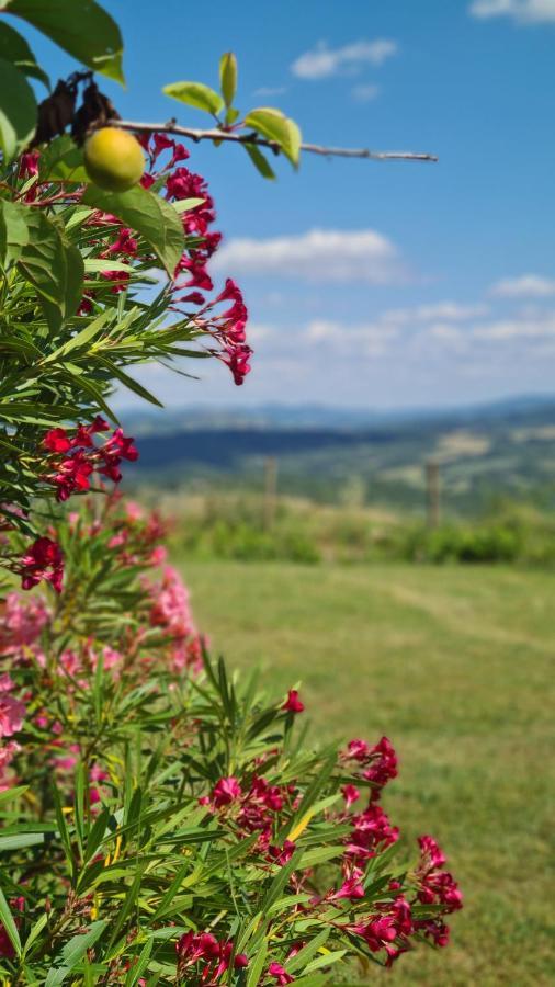 Appartamento Il Nido Volterra Ngoại thất bức ảnh