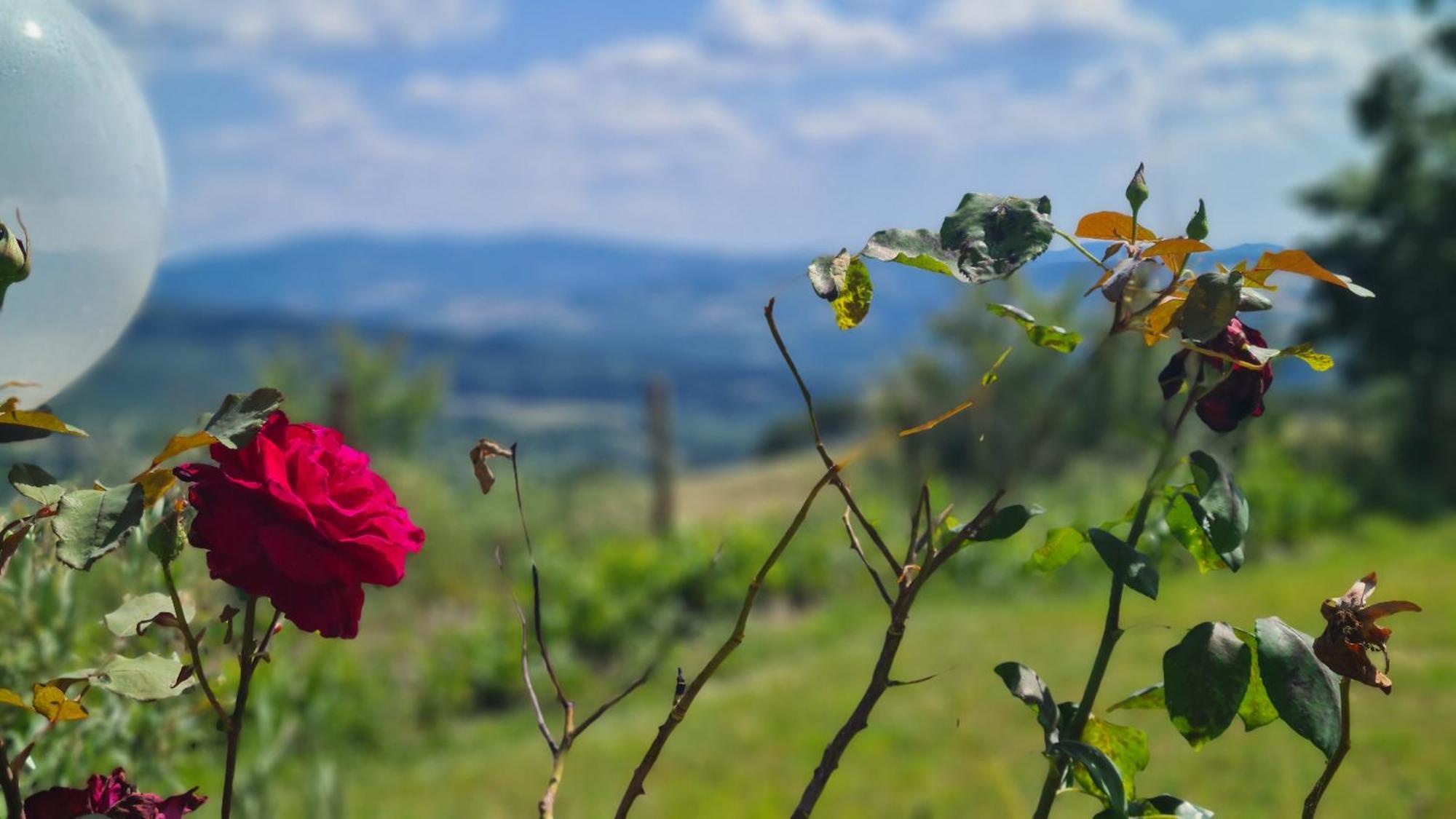 Appartamento Il Nido Volterra Ngoại thất bức ảnh
